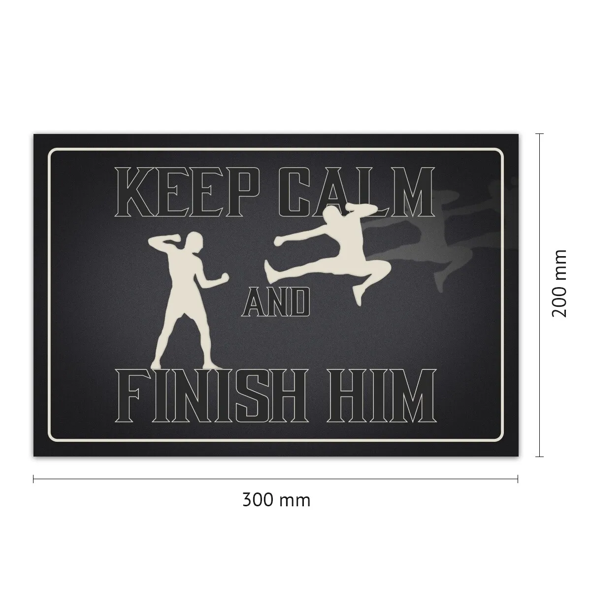 Aluverbund Schild witzig - Keep calm and finish him 1