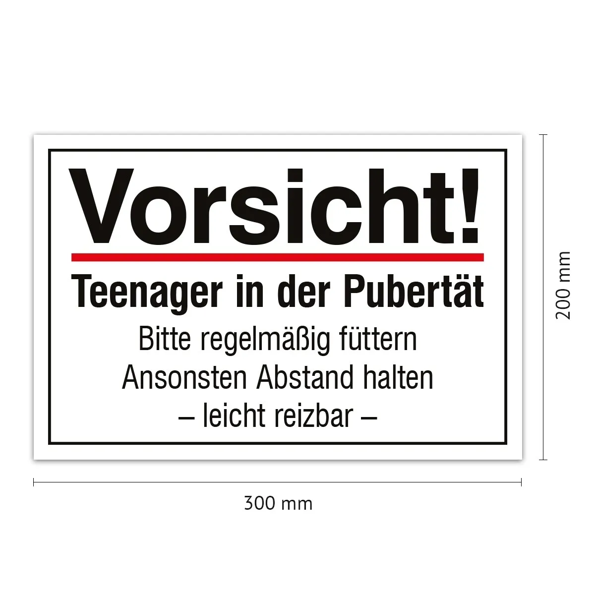 Aluverbund Schild - Vorsicht Teenager