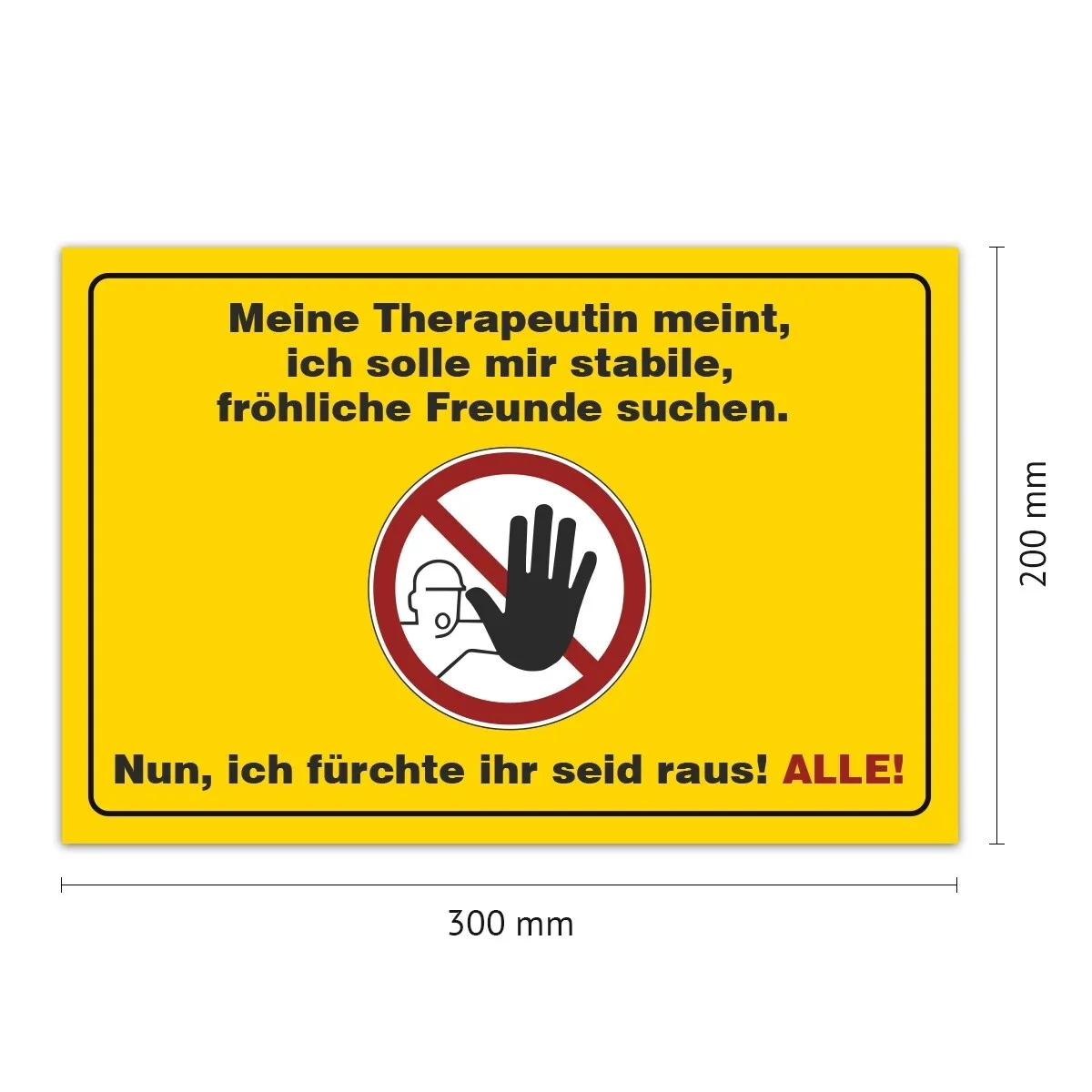 Aluverbund Schild witzig - Therapeutin stabile Freunde